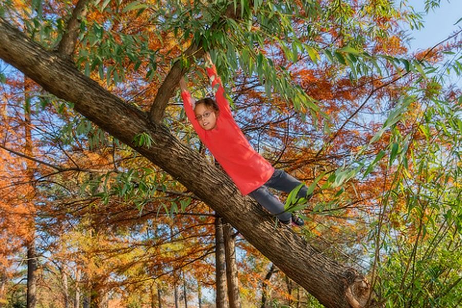 Desetiletá dívka se houpe na stromě